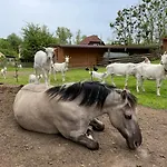 Foersterhof 3*