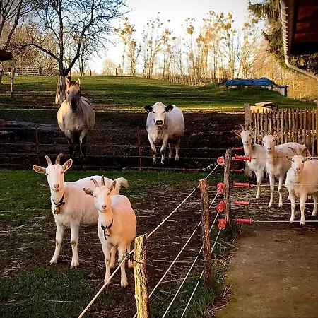 Guest house Foersterhof