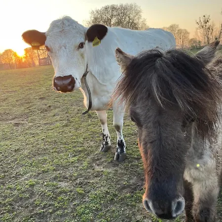 Foersterhof Guest house 3*