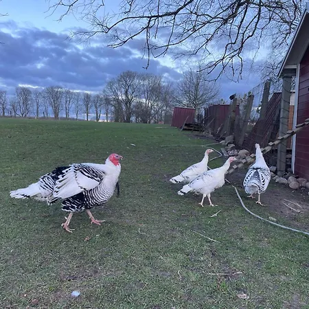 Foersterhof Angermunde
