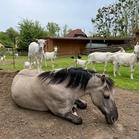 Försterhof 3*