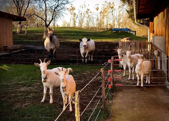 Pensión Foersterhof