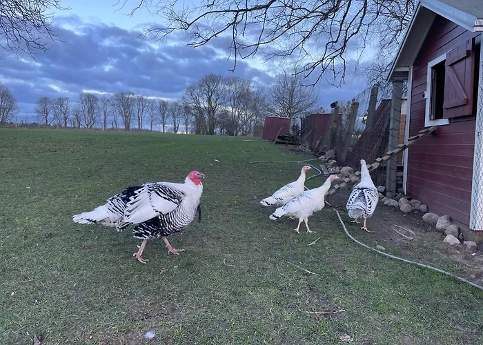 Foersterhof Angermunde